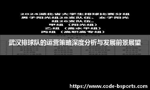 武汉排球队的运营策略深度分析与发展前景展望